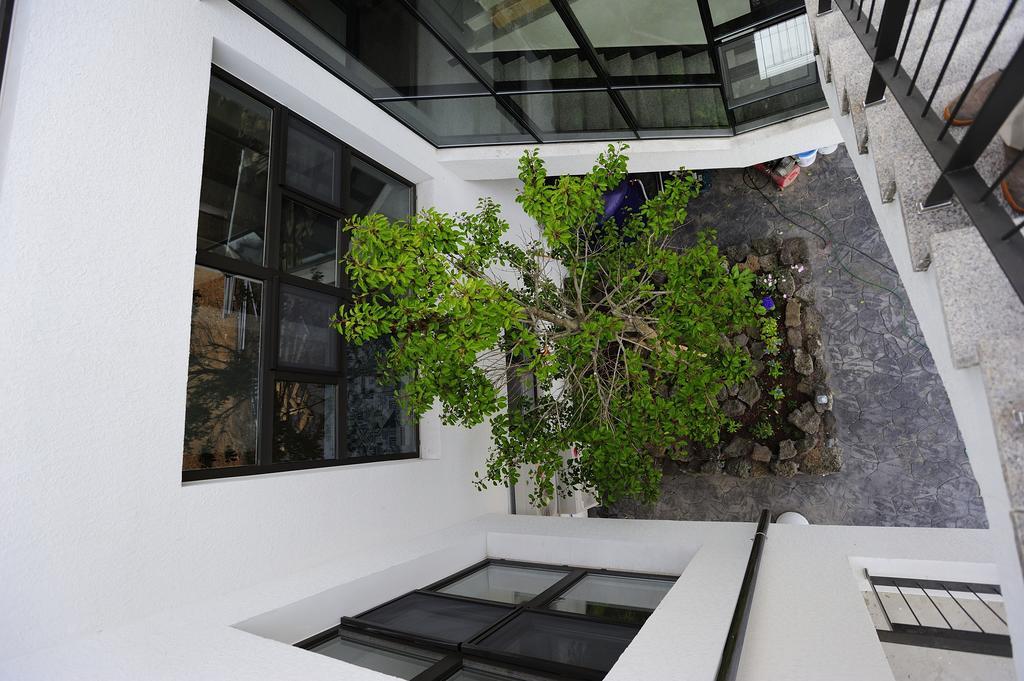 Hannah Guesthouse Jeju Bagian luar foto